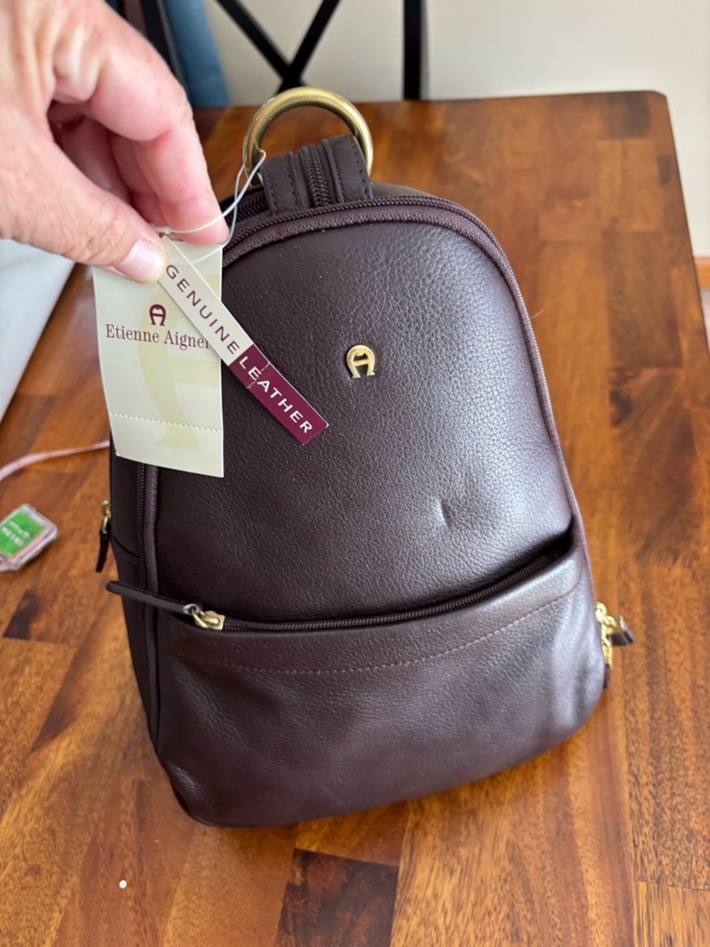 Etienne Aigner Dark Brown Leather Mini Backpack with Gold Hardware